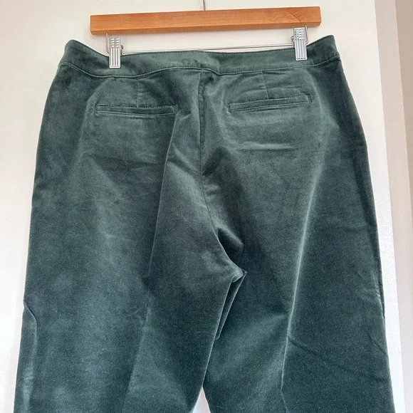 J. Jill Evergreen Velvet Dark Green Side Zip Pants NWT - Picture 7 of 12
